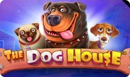 Cashed Casino offre il gioco online The Dog House